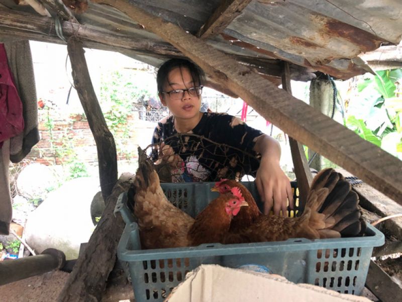 Cô học trò mở 'quán tạp hóa', trồng chuối, nuôi gà từ năm 10 tuổi