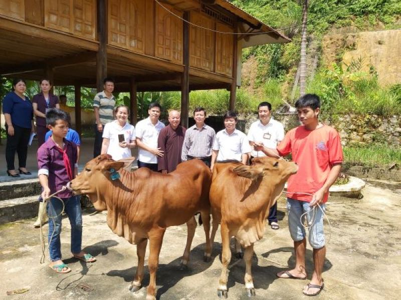 Trao tặng bò giống sinh sản cho gia đình người khuyết tật, học bổng cho học sinh khuyết tật, mồ côi huyện Quang Bình, tỉnh Hà Giang