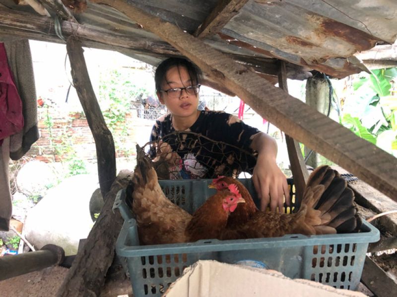 Cô học trò mở 'quán tạp hóa', trồng chuối, nuôi gà từ năm 10 tuổi Cô học trò mở 'quán tạp hóa', trồng chuối, nuôi gà từ năm 10 tuổi